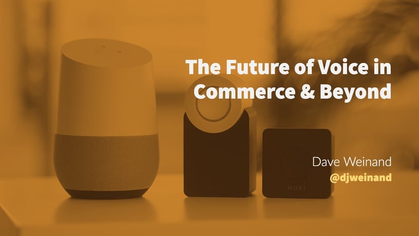 The Future of Voice in Commerce & Beyond, Incisic, Blog, Q&A, Blog