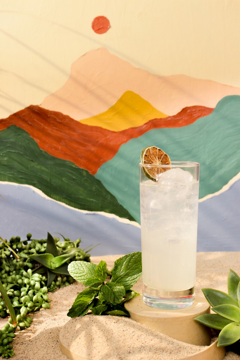 Oasis Mojito Oasis Mojito