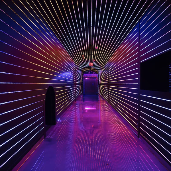 meow wolf