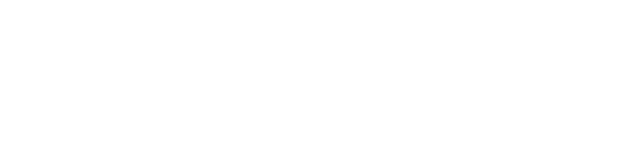 incisiv logo