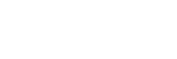 Winsight, logo